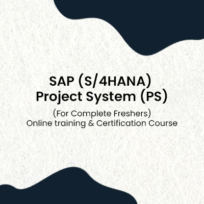 Quick View  SAP (S/4HANA) Project System (PS)