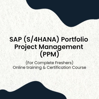 Quick View  SAP (S/4HANA) Portfolio Project Management (PPM)