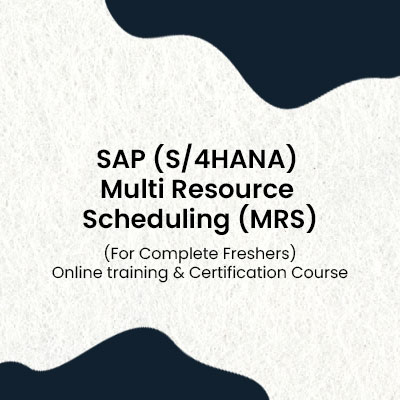 Quick View  SAP (S/4HANA) Multi Resource Scheduling (MRS)