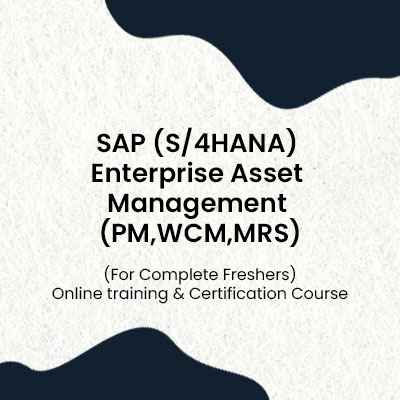Quick View  SAP (S/4HANA) Enterprise Asset Management (PM,WCM,MRS)